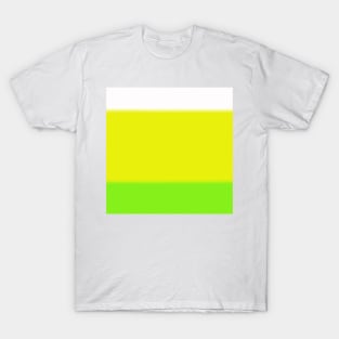 Citrus Ombre T-Shirt